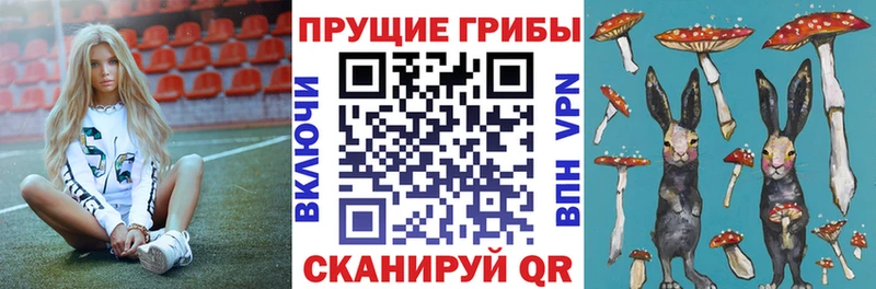 Галлюциногенные грибы ЛСД Курск