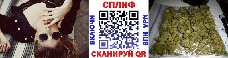 где найти   Курск  мега сайт  Марихуана планчик 